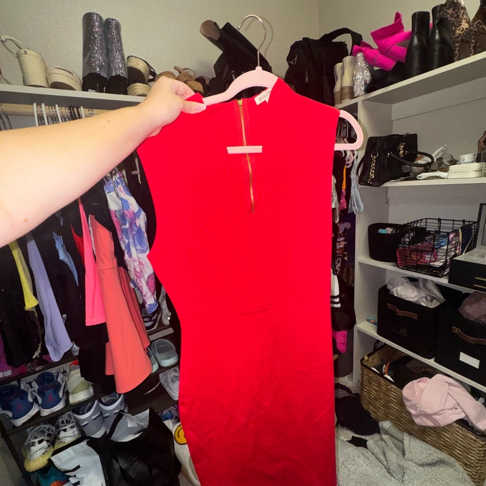 Rolla Coster Red Dress
